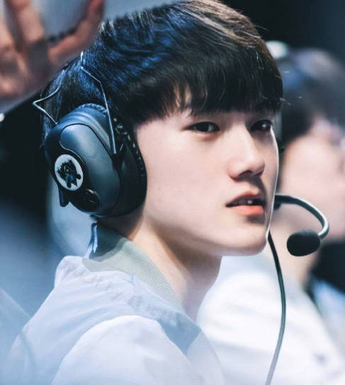 何卓佳不仅 何卓佳不仅